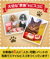 バナー