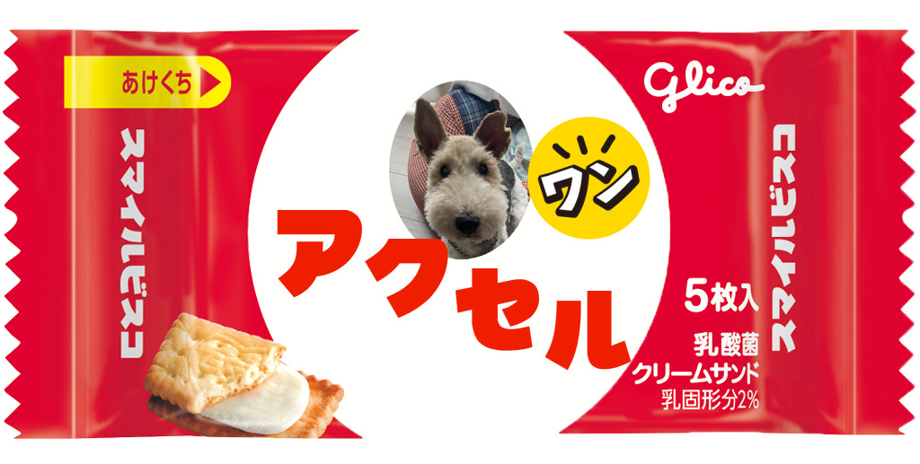 スマイルビスコ | 自分だけのオリジナルビスコを作ろう！