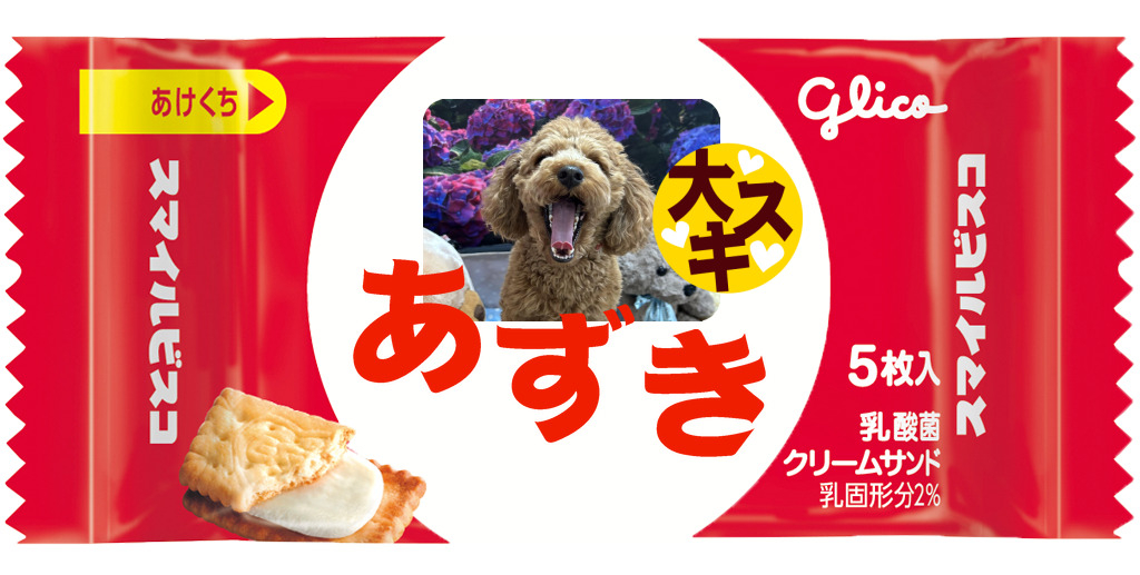 glico様　　オーダーページ 108976.jpg