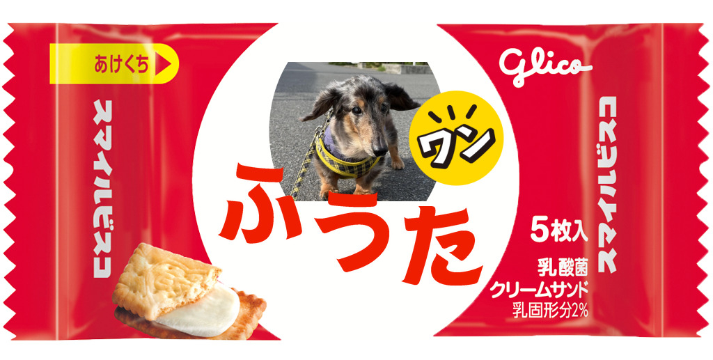 ビスコ外装 ビスコ | 【公式】江崎グリコ(Glico)